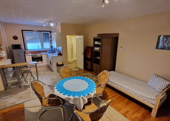 Friendly Apartment In The Suburb.