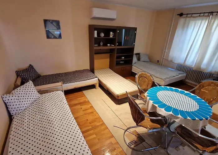 Friendly Apartment In The Suburb.